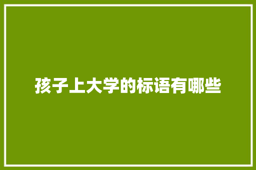 孩子上大学的标语有哪些