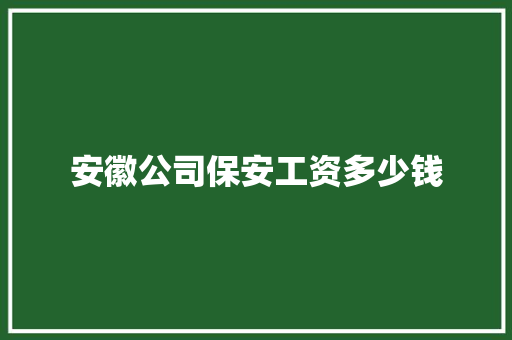 安徽公司保安工资多少钱 未命名