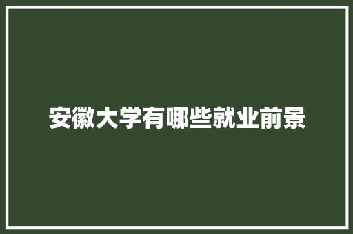 安徽大学有哪些就业前景 未命名