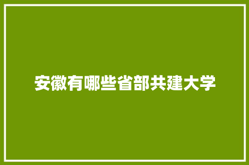 安徽有哪些省部共建大学