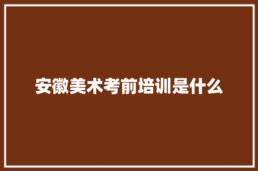 安徽美术考前培训是什么