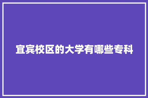 宜宾校区的大学有哪些专科 未命名