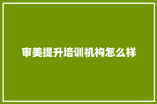 审美提升培训机构怎么样