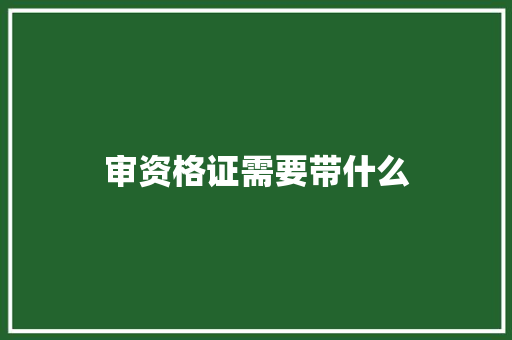 审资格证需要带什么