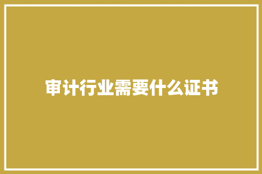 审计行业需要什么证书