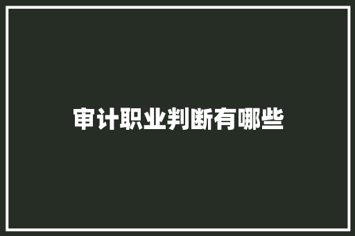 审计职业判断有哪些