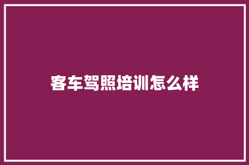 客车驾照培训怎么样 未命名