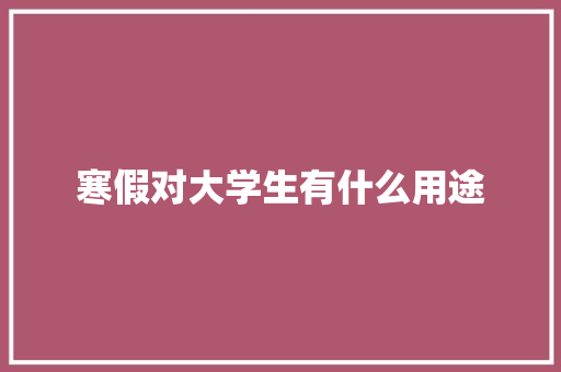 寒假对大学生有什么用途