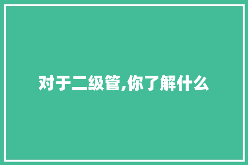 对于二级管,你了解什么