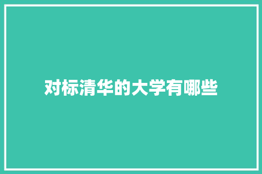 对标清华的大学有哪些 未命名