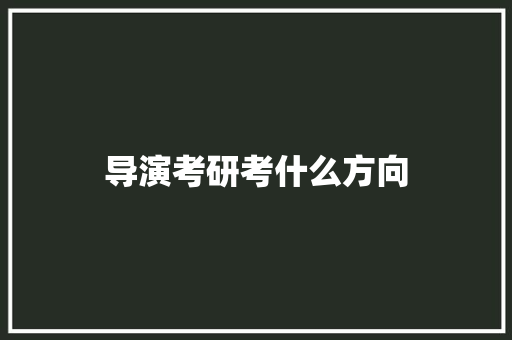 导演考研考什么方向 未命名