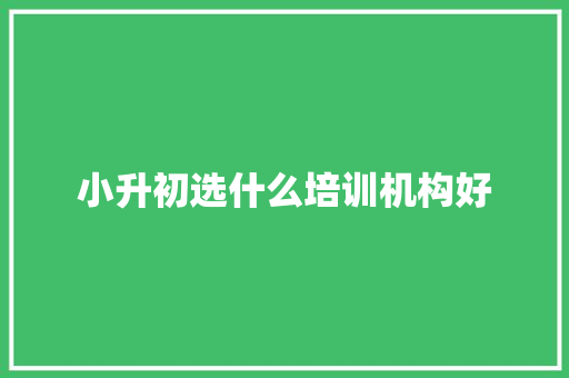 小升初选什么培训机构好 未命名