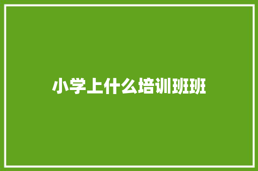 小学上什么培训班班 未命名