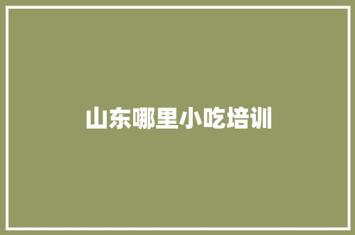 山东哪里小吃培训 未命名