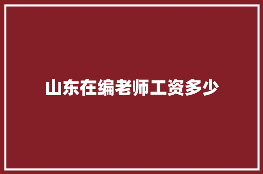 山东在编老师工资多少