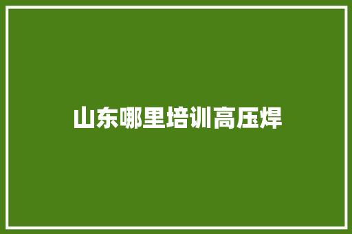 山东哪里培训高压焊 未命名