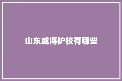 山东威海护校有哪些 未命名