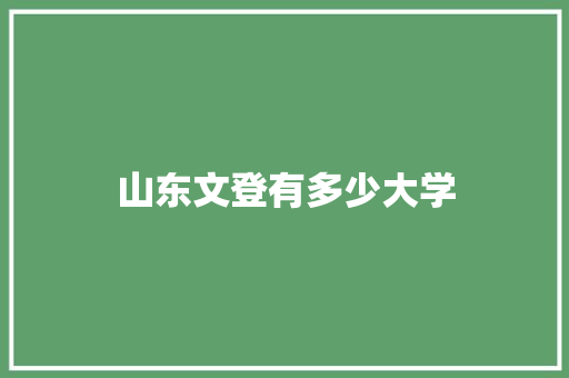 山东文登有多少大学