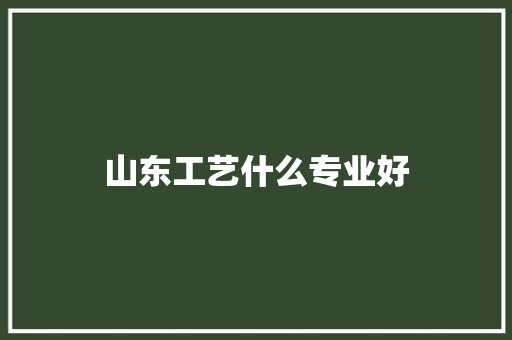 山东工艺什么专业好 未命名