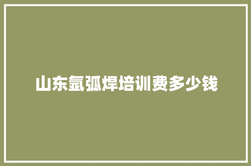 山东氩弧焊培训费多少钱