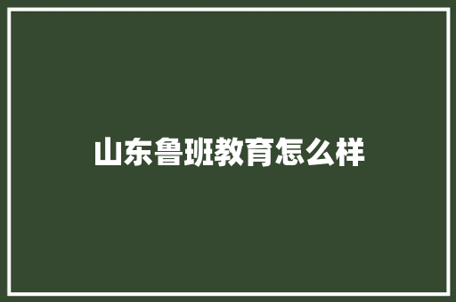 山东鲁班教育怎么样 未命名