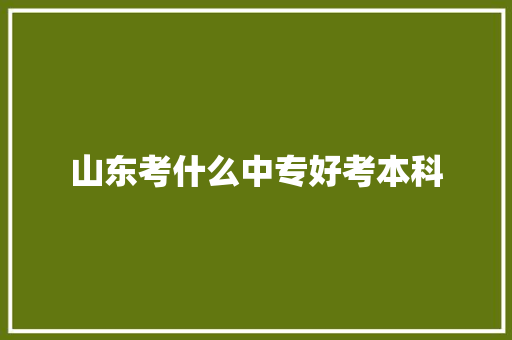 山东考什么中专好考本科 未命名