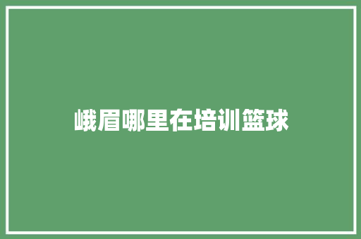 峨眉哪里在培训篮球 未命名