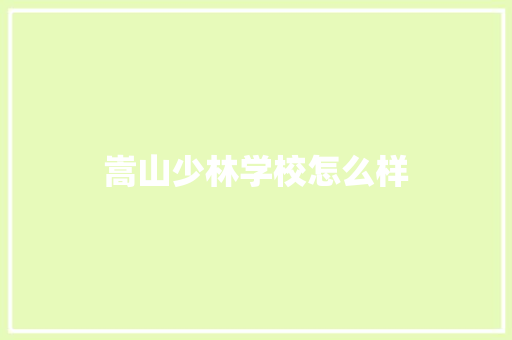 嵩山少林学校怎么样