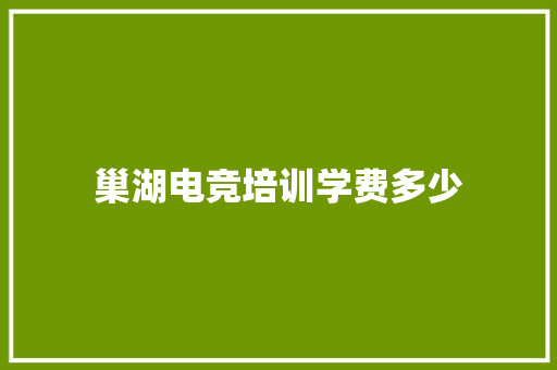 巢湖电竞培训学费多少