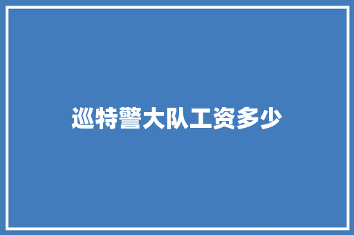 巡特警大队工资多少