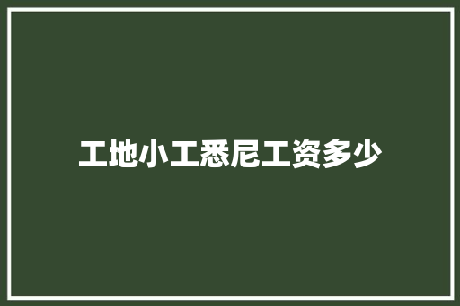 工地小工悉尼工资多少