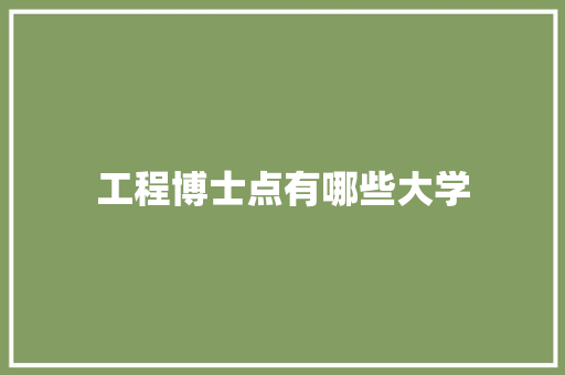 工程博士点有哪些大学 未命名