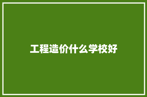 工程造价什么学校好