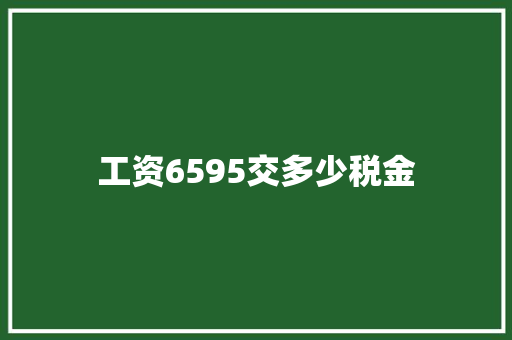 工资6595交多少税金 未命名