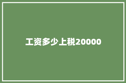 工资多少上税20000