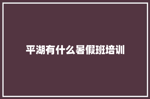 平湖有什么暑假班培训