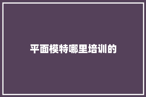 平面模特哪里培训的 未命名