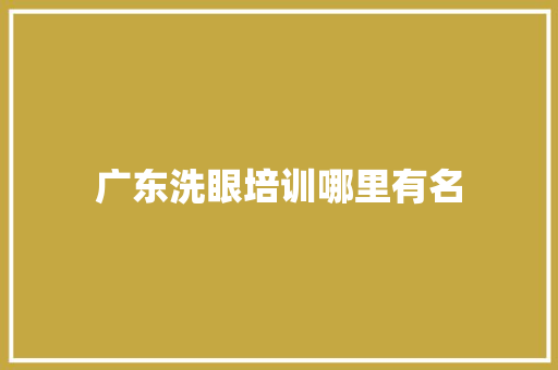 广东洗眼培训哪里有名