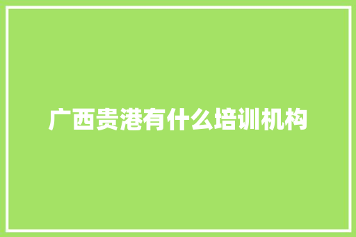 广西贵港有什么培训机构