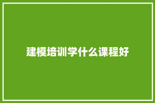 建模培训学什么课程好