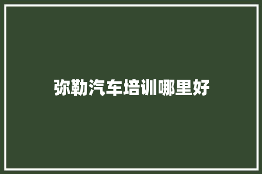 弥勒汽车培训哪里好