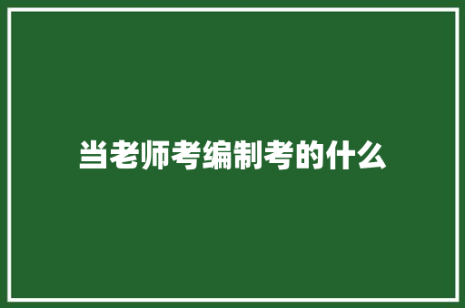 当老师考编制考的什么 未命名