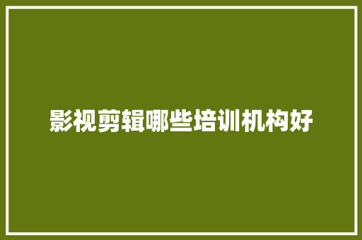 影视剪辑哪些培训机构好