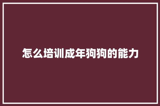 怎么培训成年狗狗的能力 未命名