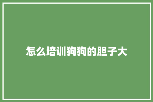 怎么培训狗狗的胆子大 未命名