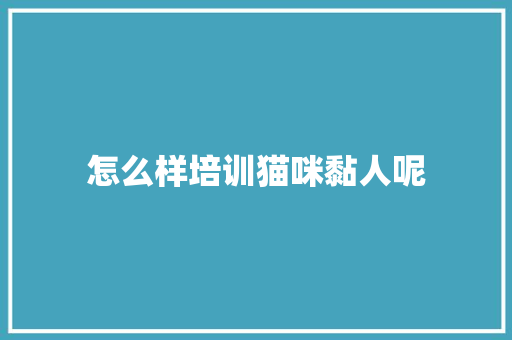 怎么样培训猫咪黏人呢