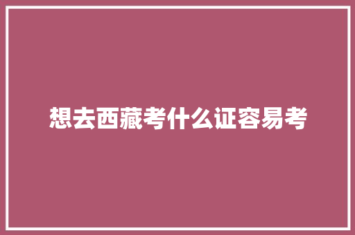 想去西藏考什么证容易考