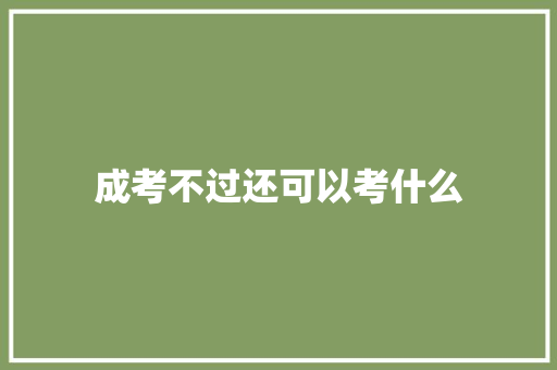 成考不过还可以考什么 未命名