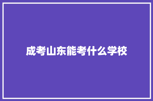 成考山东能考什么学校 未命名