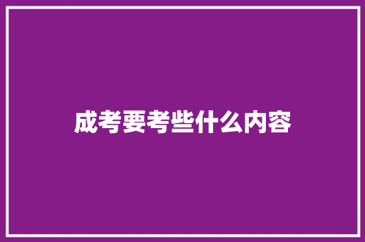 成考要考些什么内容 未命名